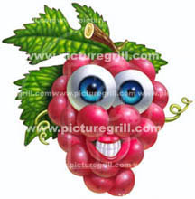 illustrations of fruit grapes art